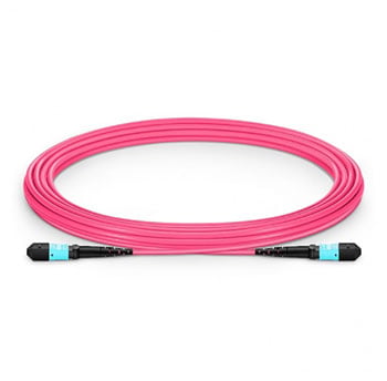 FS 16ft MTP-12 to MTP-12 OM4 Multimode Elite Trunk Cable