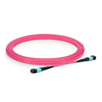 FS 16ft MTP-12 to MTP-12 OM4 Multimode Elite Trunk Cable : image 2