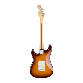 Fender - Player Strat Plus Top, Tobacco Sunburst : image 4