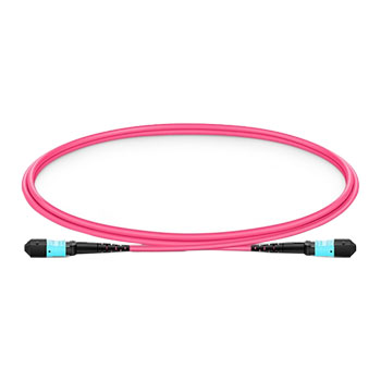 FS MTP-12 (Female) to MTP-12 (Female) 1m OM4 Multimode Elite Trunk Cable : image 1