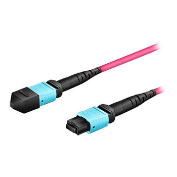 FS MTP-12 (Female) to MTP-12 (Female) 1m OM4 Multimode Elite Trunk Cable : image 2