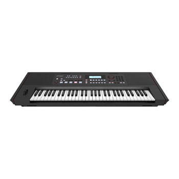 Roland E-X50 Entertainment Keyboard