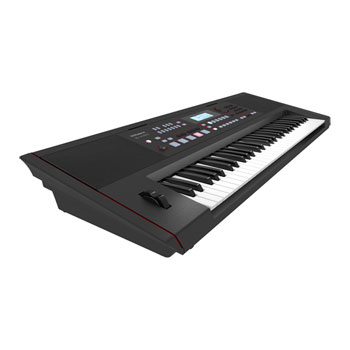 Roland E-X50 Entertainment Keyboard : image 3