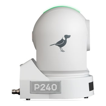 BirdDog P240 NDI PTZ Camera (White) : image 2