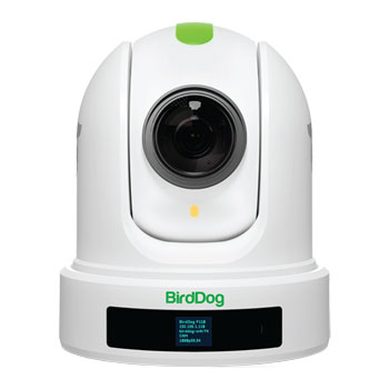 BirdDog P110 NDI PTZ Camera (White)