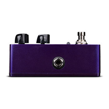 Ampeg Liquifier Analogue Chorus Pedal : image 3