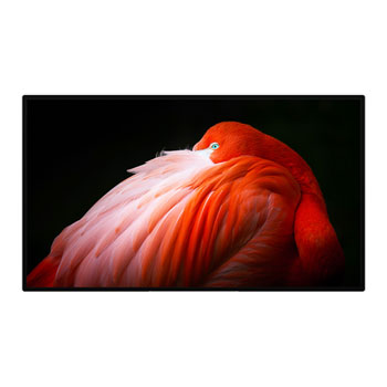 Apple 32" Pro Display XDR with Nano-texture Glass