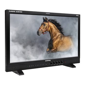 Flanders Scientific DM231 Reference Monitor