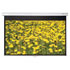 Thumbnail 1 : 106" Diagonal DS-9106PMG+ Pull Down Screen