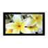 Thumbnail 1 : AllSee 46" PF46H2 LCD Digital signage Display