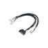 Thumbnail 1 : AK-CBFA06-30 PWM fan splitter cable for 3 fans from 1 PWM port powered by SATA