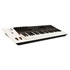 Thumbnail 1 : Nektar Panorama P4 USB Keyboard