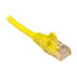 Thumbnail 1 : Xclio CAT6 10M Snagless Moulded Gigabit Ethernet Cable RJ45 Xclio