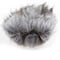 Thumbnail 1 : Rode Dead Kitten