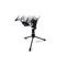 Thumbnail 1 : Rode Tripod for Videomic