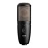 Thumbnail 1 : AKG - P420, High-Performance, Dual-Capsule True Condenser Microphone