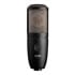 Thumbnail 1 : AKG - P420, High-Performance, Dual-Capsule True Condenser Microphone