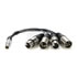 Thumbnail 1 : Lemo to XLR Breakout Cable by Atomos