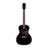 Thumbnail 1 : Levinson Greenbriar LG-24B MVT Guitar (Black)