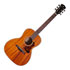 Thumbnail 1 : Levinson Canyon Greenbriar LG-222 Guitar (Satin Finish)