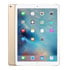 Thumbnail 1 : Apple iPad Pro 12.9" WiFi + Cellular 256GB Tablet Gold ML3Z2B/A
