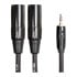 Thumbnail 1 : Roland 10FT / 3M 3.5 mm TRS - 2x XLR Male Balanced Interconnect Cable