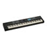 Thumbnail 1 : Roland JUNO-DS88 88-Key Synthesiser