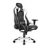 Thumbnail 1 : AKRacing Masters Series BLACK/WHITE Pro Gaming Chair