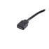 Thumbnail 3 : Akasa RGB LED Splitter Cable