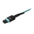 Thumbnail 2 : StartechFiber Breakout Cable 10m MPO / MTP to LC