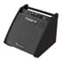 Thumbnail 2 : Roland PM-200 Personal Monitor