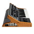 Thumbnail 3 : Moog - Subsequent 25
