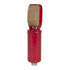 Thumbnail 2 : Proel RM8 Ribbon Mic