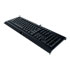 Thumbnail 3 : Razer Cynosa Lite Essential Gaming Keyboard
