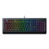 Thumbnail 2 : Razer Cynosa V2 Chroma RGB Membrane Gaming Keyboard