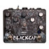 Thumbnail 2 : Old Blood Noise Endeavours - 'Blackcap' Dual Asynchronous Harmonic Tremolo