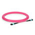 Thumbnail 2 : FS 16ft MTP-12 to MTP-12 OM4 Multimode Elite Trunk Cable