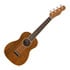 Thumbnail 1 : Fender - Zuma Concert Ukulele - Natural
