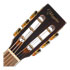 Thumbnail 3 : Takamine - New Yorker - Gloss Brown Sunburst