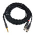 Thumbnail 3 : IFI Zen Can + Balanced Cable for Audeze & HEDDphones + XLR Input