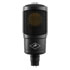 Thumbnail 1 : Antelope Audio Edge Solo, Condenser Modeling Microphone
