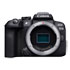 Thumbnail 1 : Canon EOS R10 (Body Only)