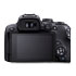 Thumbnail 2 : Canon EOS R10 (Body Only)