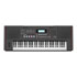 Thumbnail 2 : Roland E-X50 Entertainment Keyboard