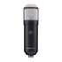 Thumbnail 2 : Universal Audio Sphere DLX Modelling Microphone