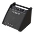 Thumbnail 1 : Roland PM-100 80-Watt Personal Monitor