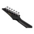 Thumbnail 2 : Ibanez ALT20-WK Weathered Black Open Pore
