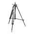 Thumbnail 1 : Manfrotto Triman Camera Tripod Without Head