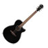 Thumbnail 1 : (B-Stock) Ibanez AEG SERIES, Spruce Top, 25" Scale, AEQ Preamp, T-Bar Undersaddle P/U, Black