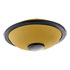 Thumbnail 2 : Meinl Sonic Energy Mini Steel Tongue Drum, B Major, Gold